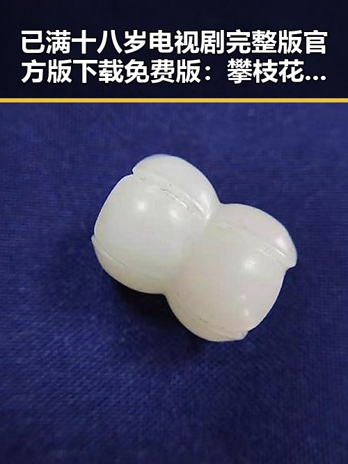 已满十八岁电视剧完整版官方版下载免费版：攀枝花市观众的全新选择