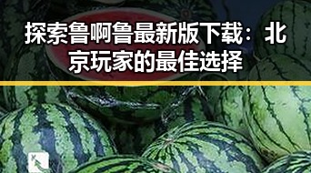 探索鲁啊鲁最新版下载：北京玩家的最佳选择