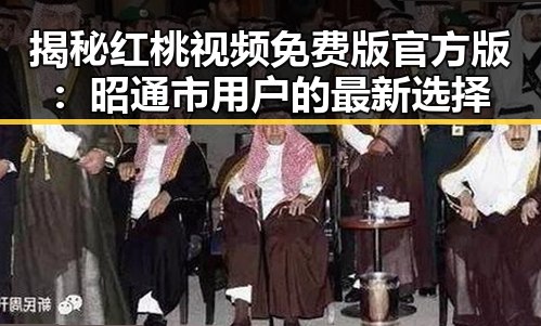 揭秘红桃视频免费版官方版：昭通市用户的最新选择