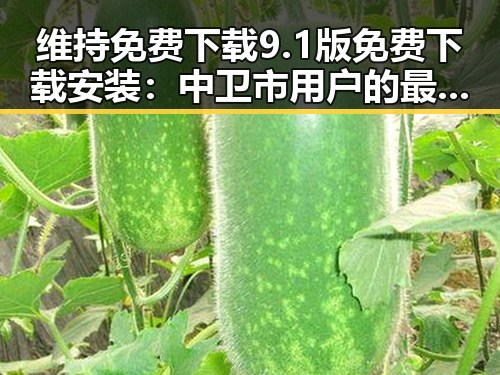 维持免费下载9.1版免费下载安装：中卫市用户的最佳选择