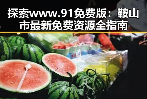 探索www.91免费版：鞍山市最新免费资源全指南