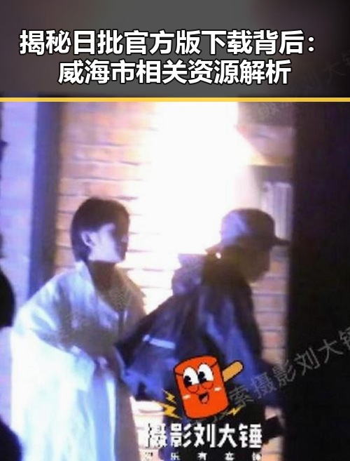 揭秘日批官方版下载背后：威海市相关资源解析