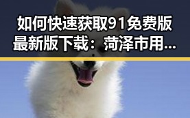 如何快速获取91免费版最新版下载：菏泽市用户指南