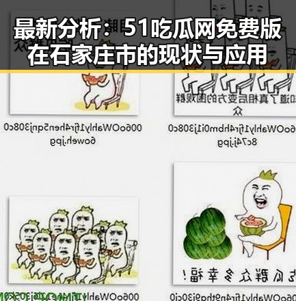 最新分析：51吃瓜网免费版在石家庄市的现状与应用