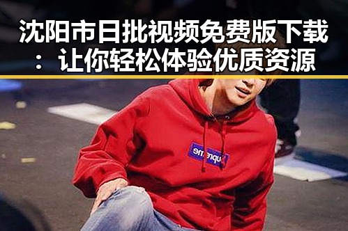 沈阳市日批视频免费版下载：让你轻松体验优质资源