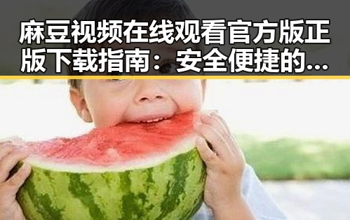 麻豆视频在线观看官方版正版下载指南：安全便捷的获取方式