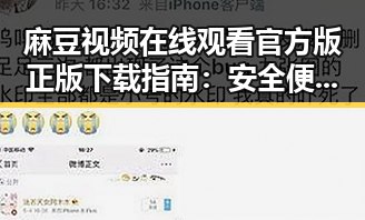 麻豆视频在线观看官方版正版下载指南：安全便捷的获取方式