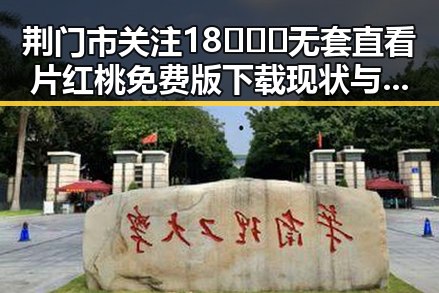 荆门市关注18❌❌❌无套直看片红桃免费版下载现状与发展