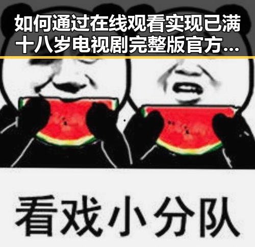 如何通过在线观看实现已满十八岁电视剧完整版官方版下载免费版的体验
