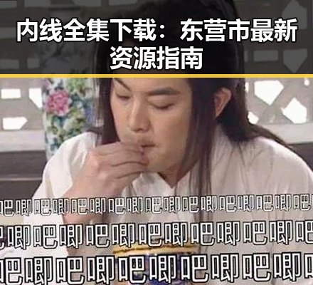 内线全集下载：东营市最新资源指南