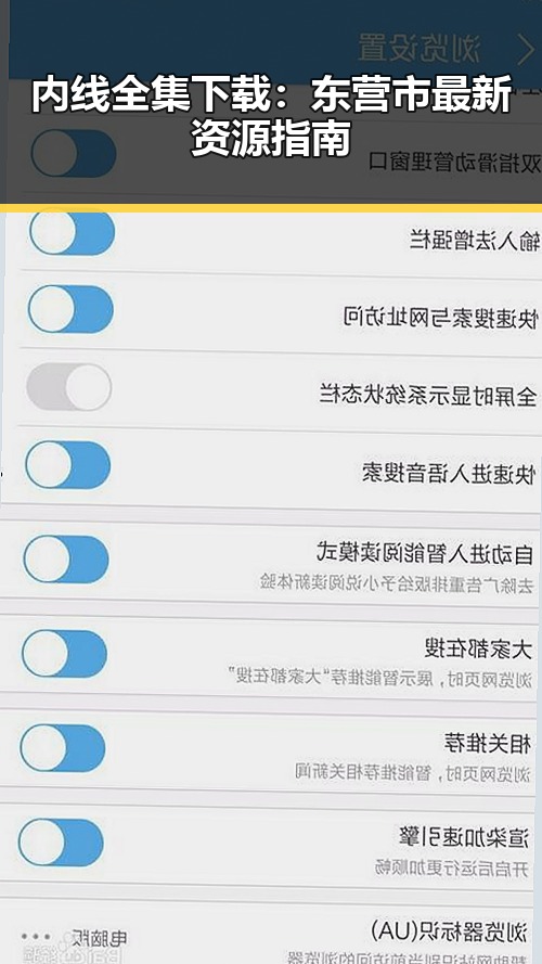 内线全集下载：东营市最新资源指南