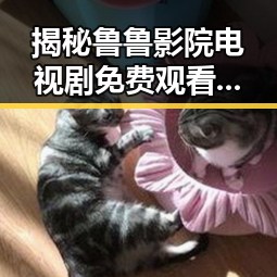 揭秘鲁鲁影院电视剧免费观看，尽享精彩剧集