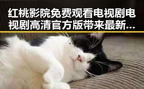 红桃影院免费观看电视剧电视剧高清官方版带来最新观影体验