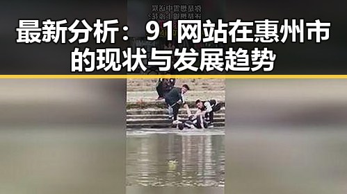 最新分析：91网站在惠州市的现状与发展趋势