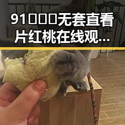 91❌❌❌无套直看片红桃在线观看今官方版:最新在线观看体验解析