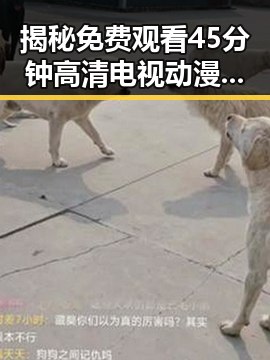 揭秘 免费观看45分钟高清电视动漫，人物聚焦带你领略精彩瞬间