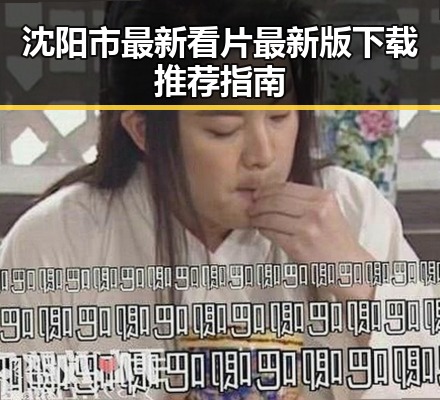 沈阳市最新看片最新版下载推荐指南