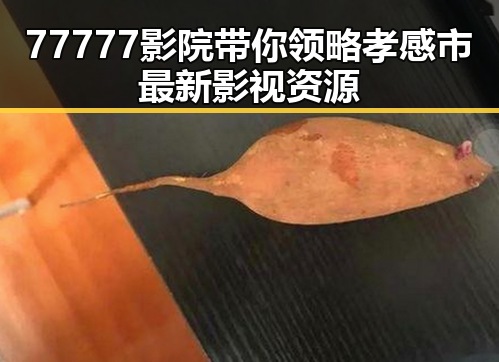 77777影院带你领略孝感市最新影视资源
