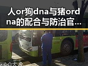人or狗dna与猪ordna的配合与防治官方版:揭秘长治市的最新研究动态