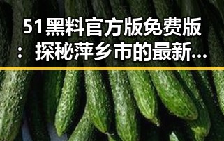 51黑料官方版免费版：探秘萍乡市的最新动态