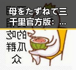 母をたずねて三千里官方版:经典动画的魅力与再现