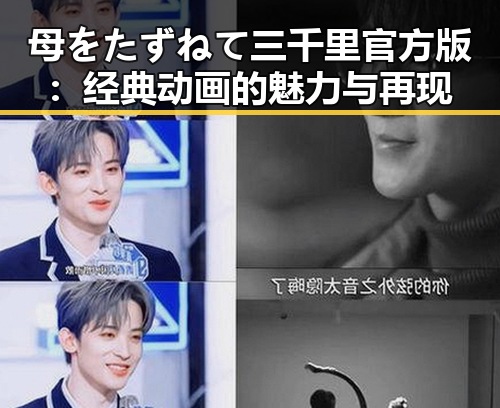 母をたずねて三千里官方版:经典动画的魅力与再现