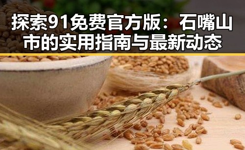 探索91免费官方版：石嘴山市的实用指南与最新动态