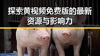 探索黄视频免费版的最新资源与影响力