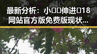 最新分析：小🐔🐔伸进🈲18网站官方版免费版现状与影响
