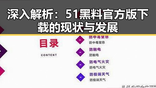 深入解析：51黑料官方版下载的现状与发展