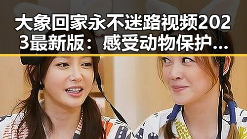 大象回家永不迷路视频2023最新版：感受动物保护的温暖力量