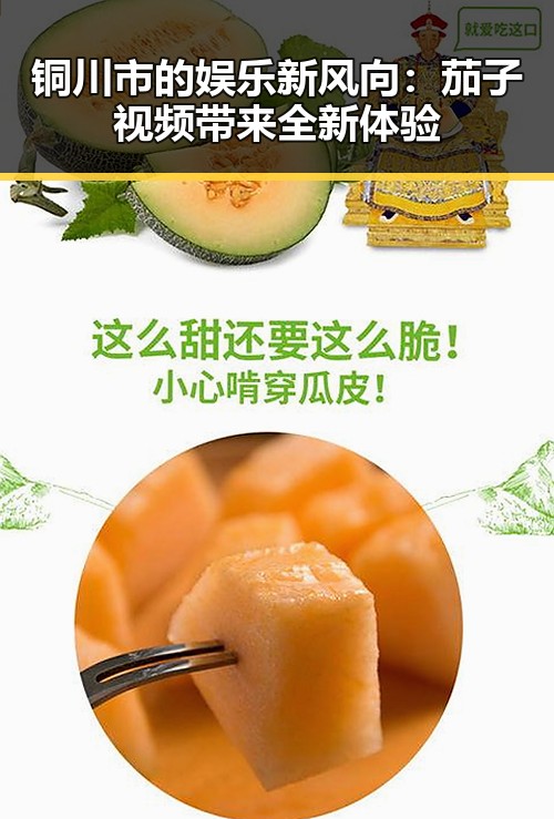 铜川市的娱乐新风向：茄子视频带来全新体验
