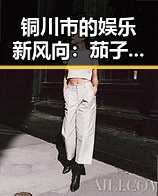 铜川市的娱乐新风向:茄子视频带来全新体验