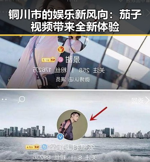铜川市的娱乐新风向:茄子视频带来全新体验