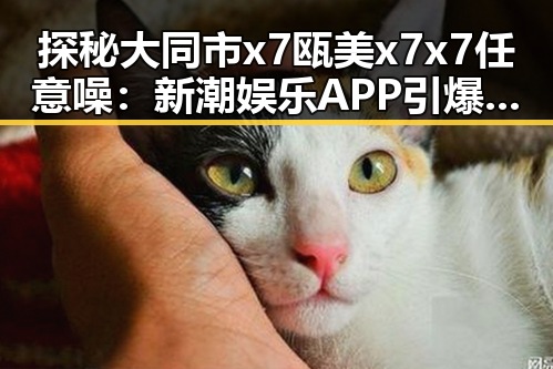 探秘大同市x7瓯美x7x7任意噪：新潮娱乐APP引爆话题