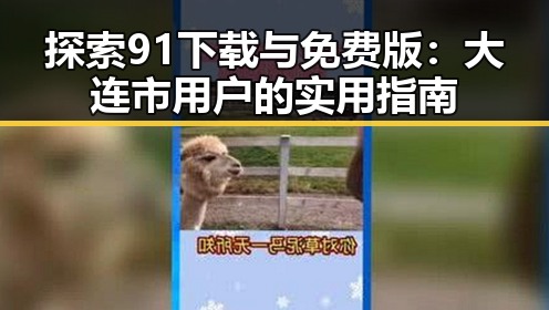 探索91下载与免费版：大连市用户的实用指南