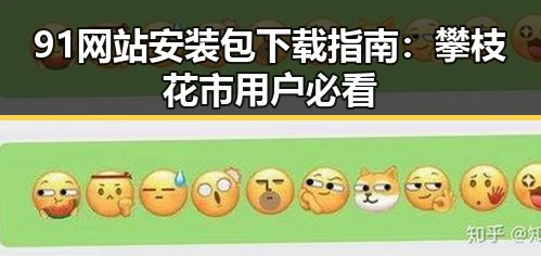 91网站安装包下载指南：攀枝花市用户必看