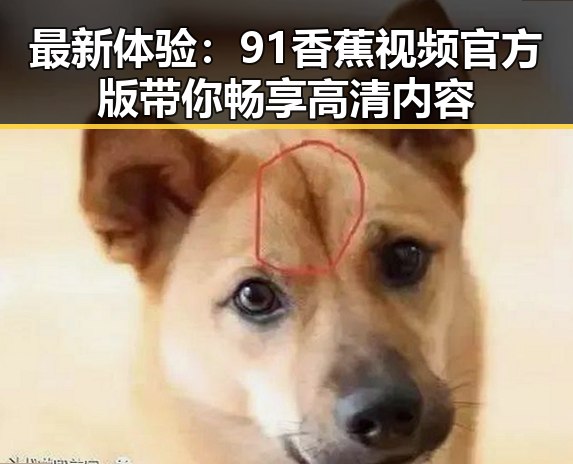 最新体验：91香蕉视频官方版带你畅享高清内容