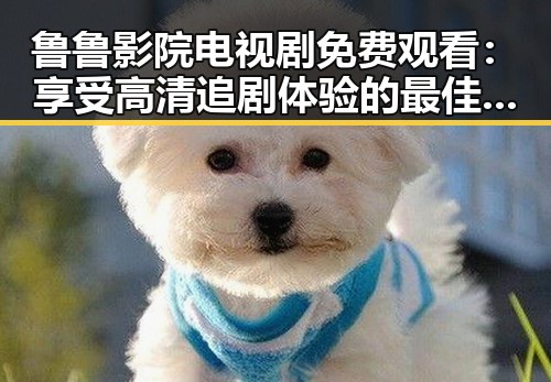 鲁鲁影院电视剧免费观看：享受高清追剧体验的最佳选择