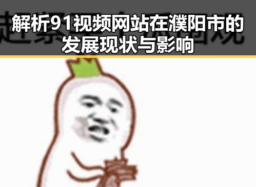 解析91视频网站在濮阳市的发展现状与影响