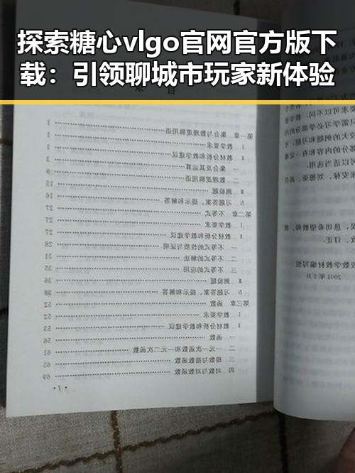 探索糖心vlgo官网官方版下载：引领聊城市玩家新体验