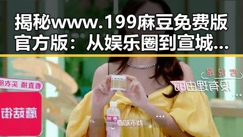揭秘 www.199麻豆免费版官方版：从娱乐圈到宣城市的变迁