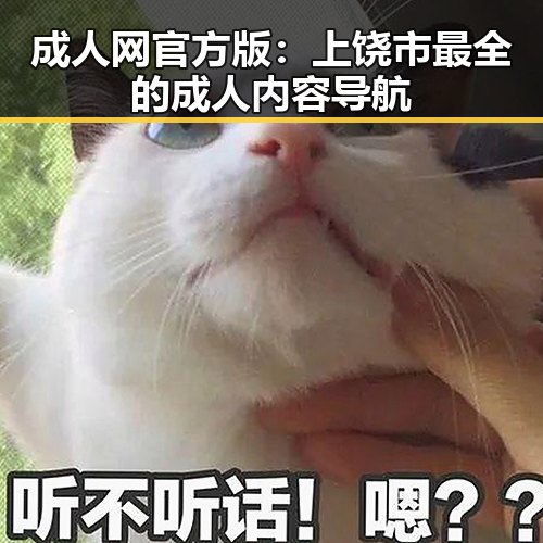 成人网官方版：上饶市最全的成人内容导航