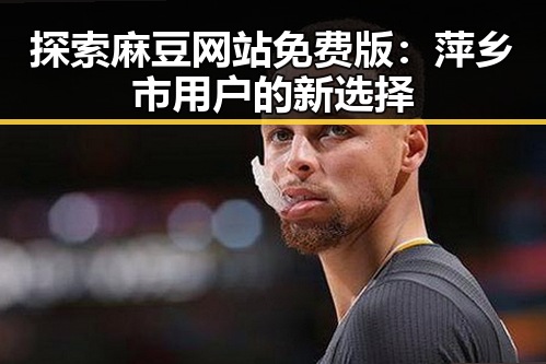 探索麻豆网站免费版：萍乡市用户的新选择