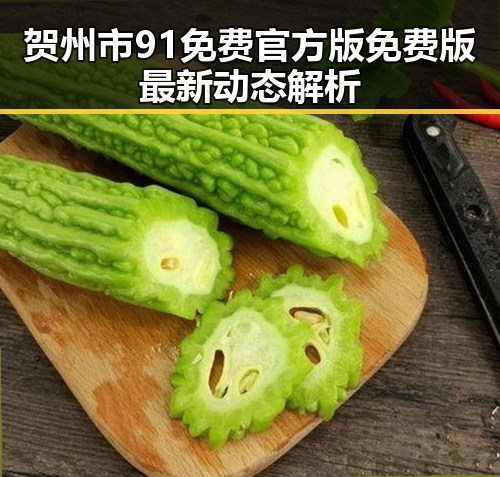 贺州市91免费官方版免费版最新动态解析