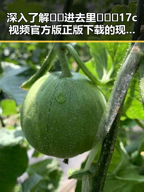 深入了解🔞🍌进去里❌❌❌17c视频官方版正版下载的现状与安全提示