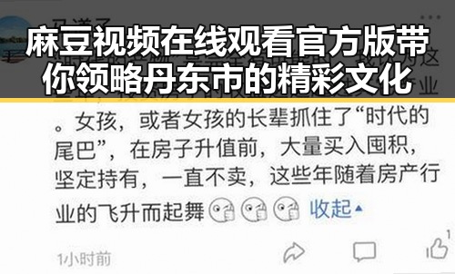 麻豆视频在线观看官方版带你领略丹东市的精彩文化