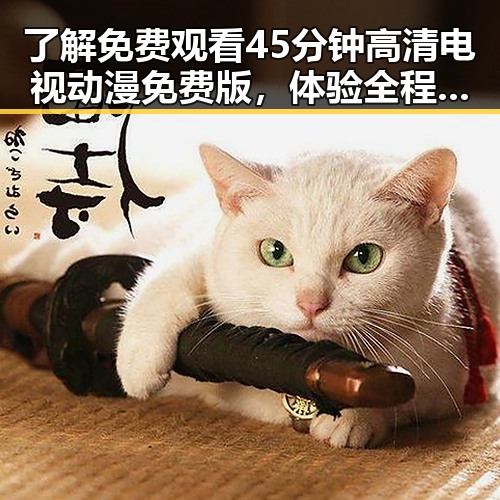 了解 免费观看45分钟高清电视动漫免费版，体验全程畅快观影