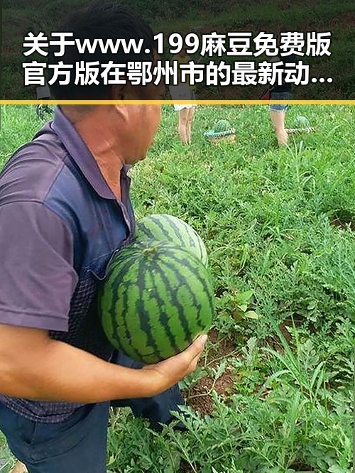 关于www.199麻豆免费版官方版在鄂州市的最新动态与现状