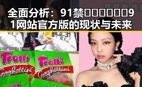 全面分析：91禁🍆🍑🔞❌❌❌91网站官方版的现状与未来